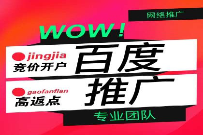 百度广告竞价与社交媒体结合的案例：某品牌的全网营销策略